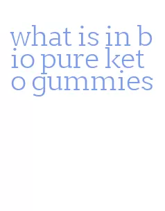 what is in bio pure keto gummies