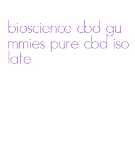 bioscience cbd gummies pure cbd isolate