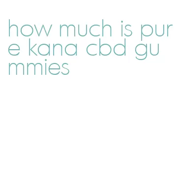how much is pure kana cbd gummies