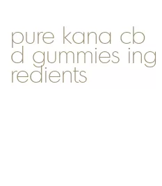 pure kana cbd gummies ingredients