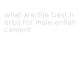 what are the best herbs for male enhancement