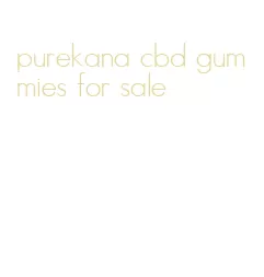 purekana cbd gummies for sale