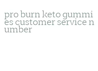 pro burn keto gummies customer service number