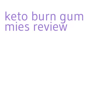 keto burn gummies review