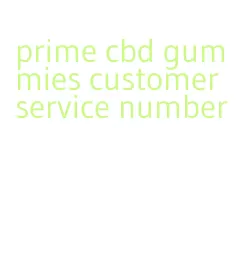 prime cbd gummies customer service number