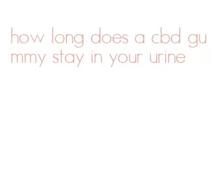 how long does a cbd gummy stay in your urine