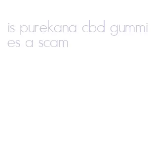 is purekana cbd gummies a scam