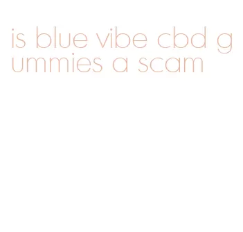 is blue vibe cbd gummies a scam