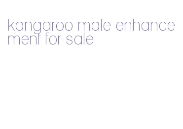 kangaroo male enhancement for sale