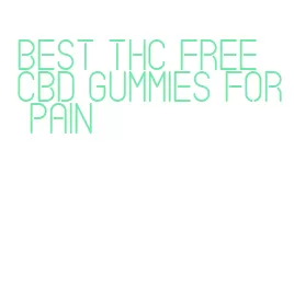best thc free cbd gummies for pain