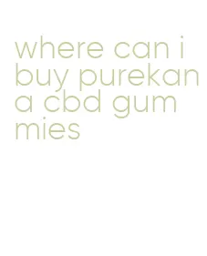 where can i buy purekana cbd gummies