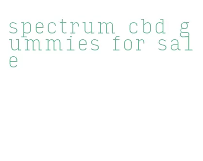 spectrum cbd gummies for sale