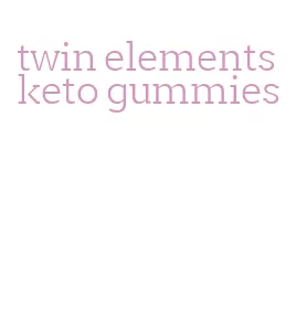 twin elements keto gummies