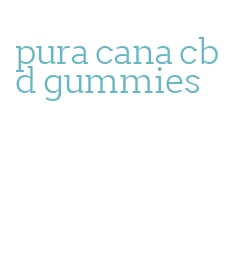 pura cana cbd gummies