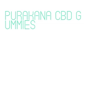 purakana cbd gummies