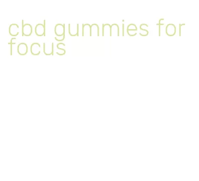 cbd gummies for focus