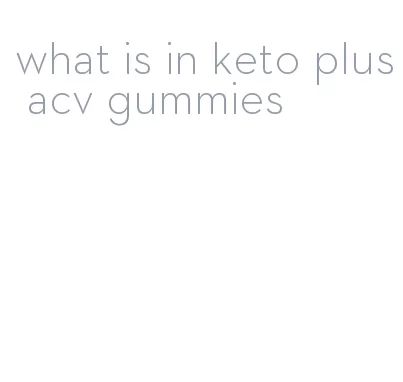 what is in keto plus acv gummies