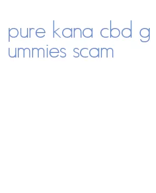 pure kana cbd gummies scam