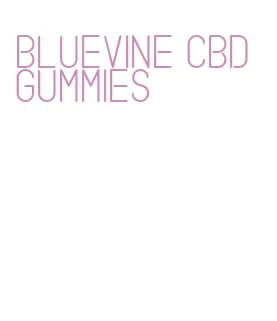 bluevine cbd gummies