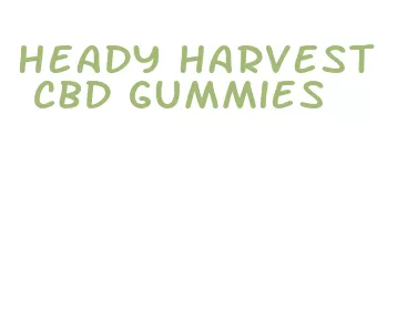 heady harvest cbd gummies