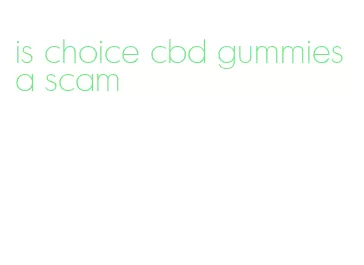 is choice cbd gummies a scam