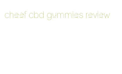 cheef cbd gummies review