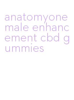 anatomyone male enhancement cbd gummies