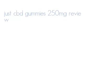 just cbd gummies 250mg review
