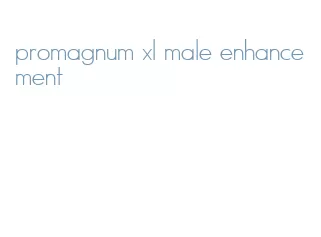 promagnum xl male enhancement