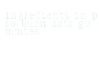 ingredients in pro burn keto gummies