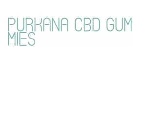 purkana cbd gummies