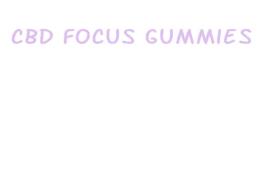cbd focus gummies