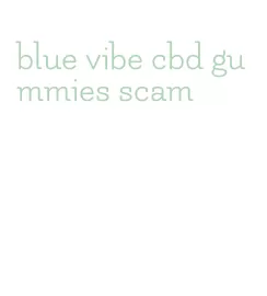 blue vibe cbd gummies scam
